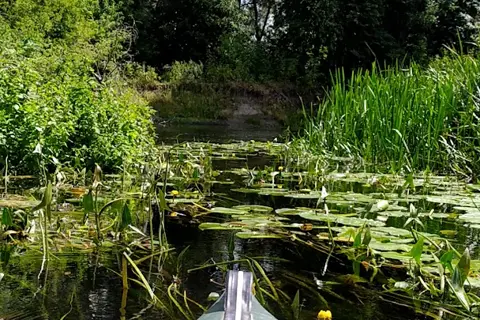 Гадяцький регіональний ландшафтний парк — фото 2