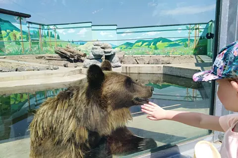 Подільський зоопарк — фото 1
