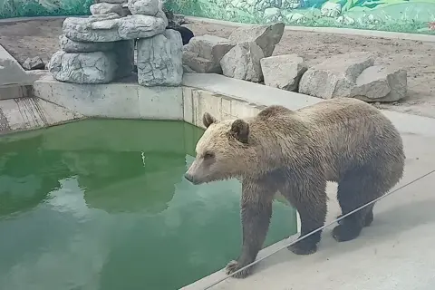 Подільський зоопарк — фото 2