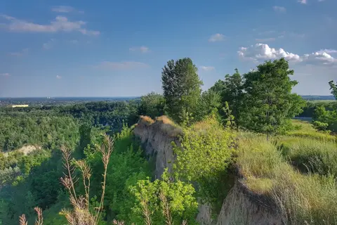 Голосіївський ліс — фото 9