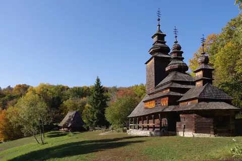 Голосіївський ліс — фото 10