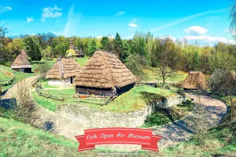 Голосіївський ліс — фото 12