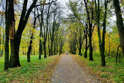 Парк-пам'ятка садово-паркового мистецтва «Сирецький гай» — фото 5