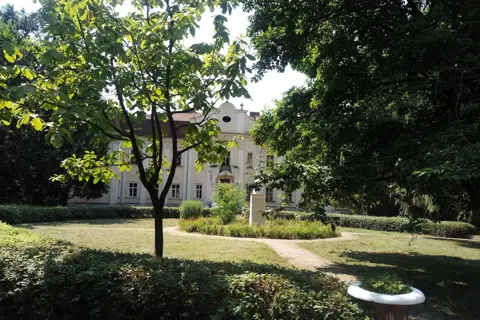 Басівський дендропарк — фото 5