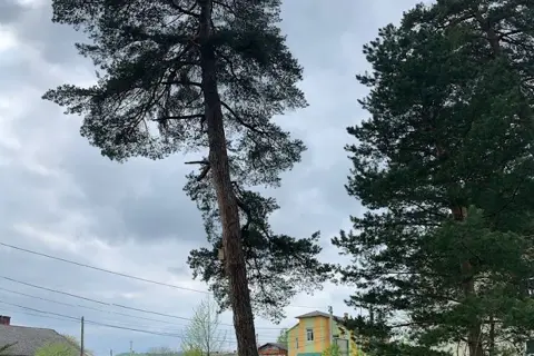 Парк «Арборетум» — фото 2