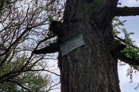 Парк «Арборетум» — фото 14
