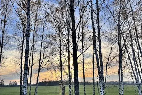 Ушомирський парк — фото 1