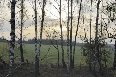 Ушомирський парк — фото 8