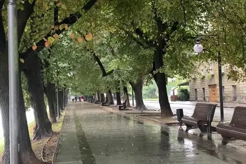 Липова алея — фото 8
