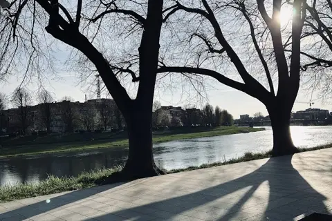 Липова алея — фото 13