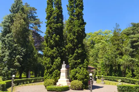 Чернівецький дендрологічний парк — фото 11