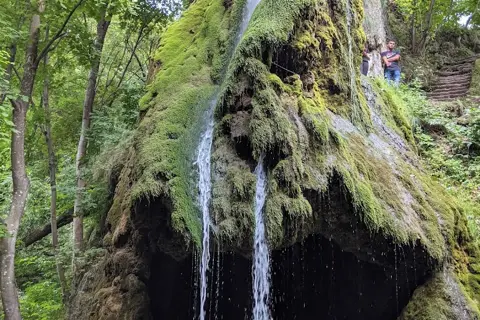 Малієвецький парк — фото 1