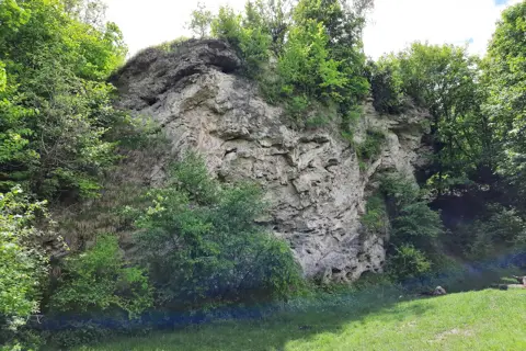 Малієвецький парк — фото 10