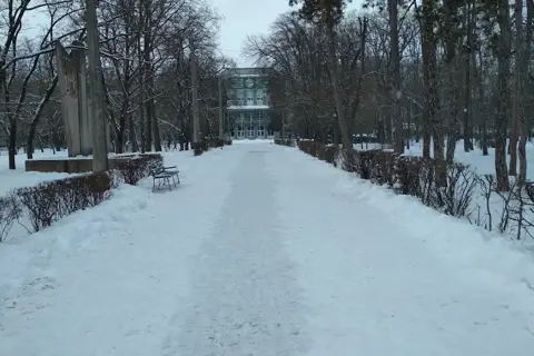 Дендропарк Херсонського державного аграрного університету — фото 3