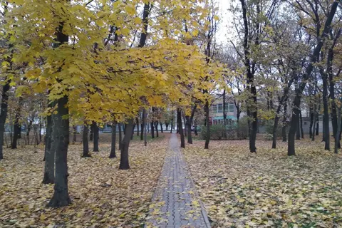 Дендропарк Херсонського державного аграрного університету — фото 8