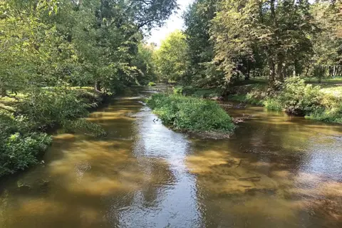Буський парк — фото 3