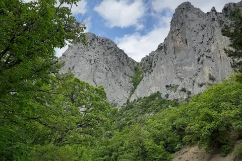 Ялтинський гірсько-лісовий природний заповідник — фото 11