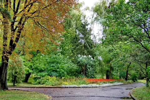 Парк ім. Асмолова — фото 1
