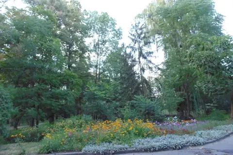Парк ім. Асмолова — фото 3