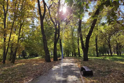 Парк ім. Асмолова — фото 6