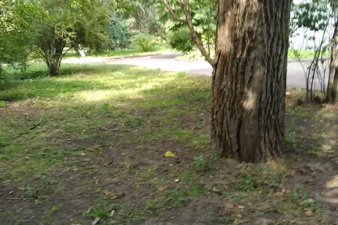 Парк ім. Асмолова — фото 8