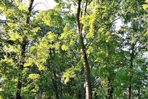 Парк ім. Асмолова — фото 10