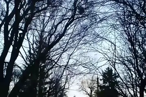 Парк ім. Асмолова — фото 14