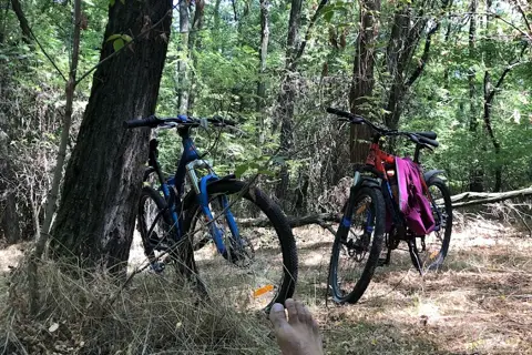 Дніпровські ліси — фото 7