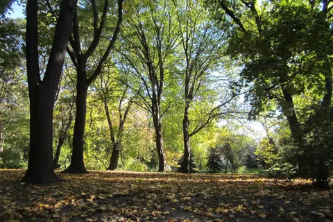 Хрещатий парк — фото 3