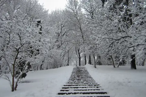 Хрещатий парк — фото 4