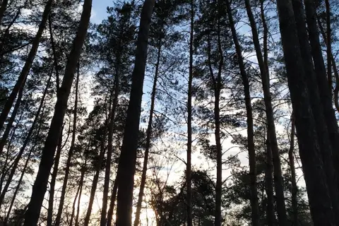 Самарські плавні — фото 5