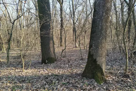 Самарські плавні — фото 11