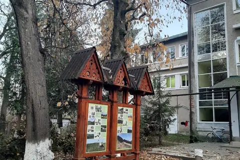 Дендропарк імені А. Тарнавського — фото 10