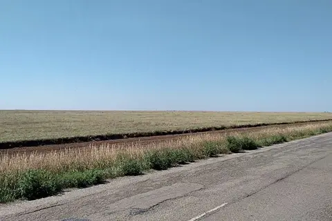 Біосферний заповідник "Асканія-Нова" ім. Ф. Е. Фальц-Фейна — фото 2