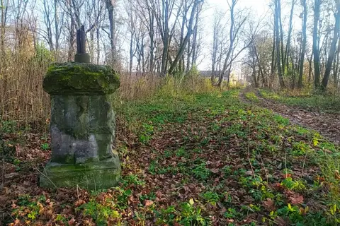 Зірненський парк — фото 6