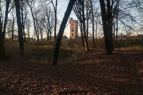 Зірненський парк — фото 12