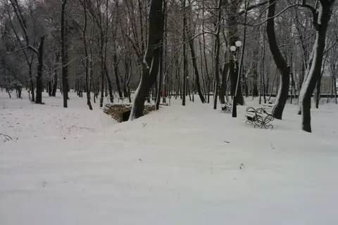 Гощанський парк — фото 10