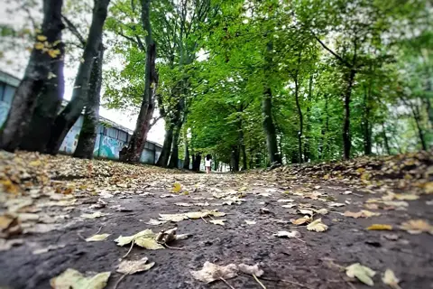 Гощанський парк — фото 11
