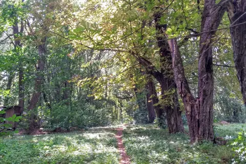 Голозубинецький парк — фото 10