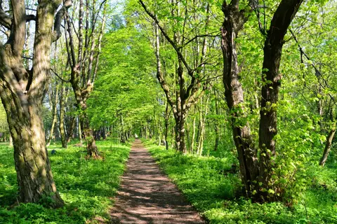 Підгірцівський парк — фото 3