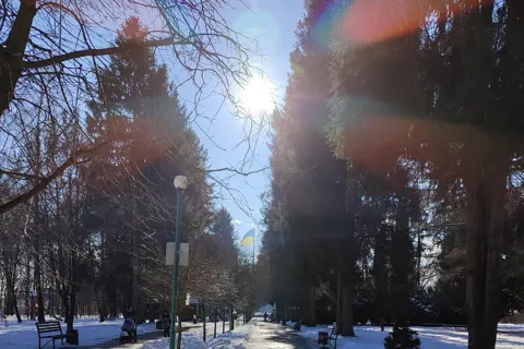 Дендропарк «Поділля» — фото 10