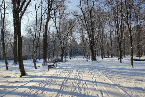 Парк імені Тараса Шевченка — фото 5
