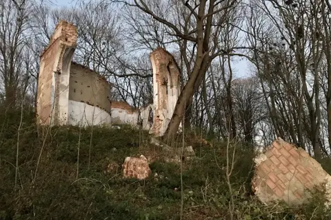 Мізоцький парк — фото 6