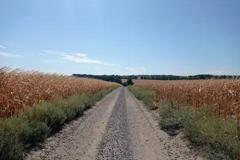 Регіональний ландшафтний парк «Світловодський» — фото 1
