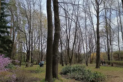 Ботанічний сад Житомирського національного агроекологічного університету — фото 4