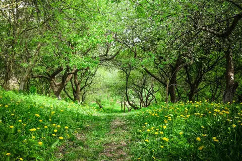 Парк «Заріччя» — фото 4