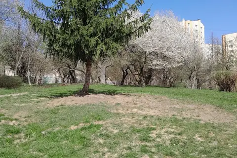 Парк «Заріччя» — фото 6