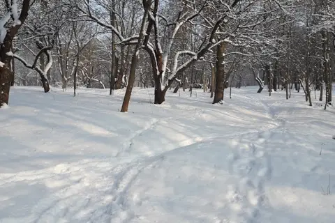 Парк «Заріччя» — фото 8