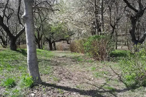 Парк «Заріччя» — фото 10