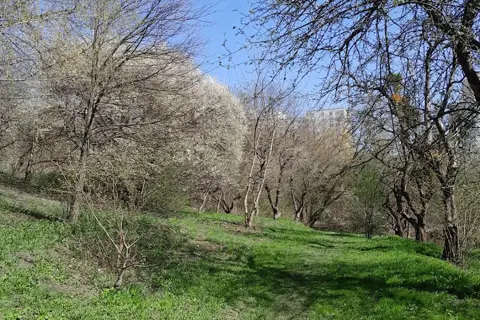 Парк «Заріччя» — фото 11
